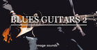 Blues Guitars 2