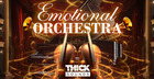 Emotional Orchestra