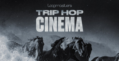 Royalty free cinematic samples  trip hop loops  cinematic drum loops  deep basslines  organic and electronic sounds   atmospheric pads  trip hop bass loops  cinematic percussion loops  rectangle