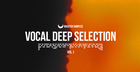 Vocal Deep Selection