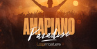 Amapiano Paradise