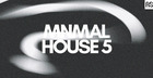 Minimal House 5