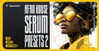 Afro House Serum Presets 2