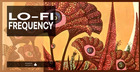 Lo-Fi Frequency