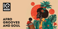 Iq samples afro grooves and soul 1000 512