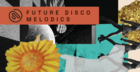 Future Disco Melodics