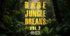 Rare Jungle Breaks Vol.2