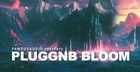 PluggnB Bloom
