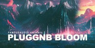 Fa pgnb pluggnb chill 1000x512 loopmasters