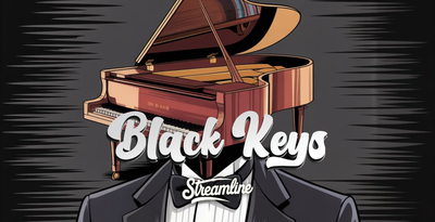 Streamline samples black keys banner