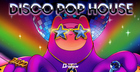 Disco Pop House