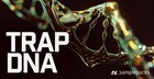 Trap DNA