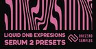 Liquid DnB Expressions - Serum 2 Presets