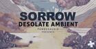 Sorrow Desolate Ambient