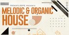 Melodic & Organic House