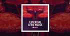 Essential Afro House