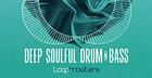 Deep Soulful Drum & Bass