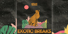Exotic Breaks