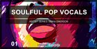 Soulful Pop Vocals 1