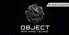 Object Raw Hard Techno