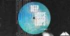 Blue Moon Jams - Deep House Loops