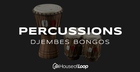Percussions Djembes Bongos