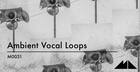 Ambient Vocal Loops