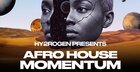 Afro House Momentum