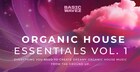 Organic House Essentials Vol 1