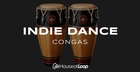Indie Dance Congas
