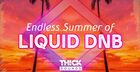 Endless Summer Of Liquid DnB