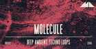 Molecule - Deep Ambient Techno Loops