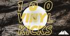 100 Vinyl Kicks