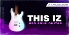 This Iz Neo Soul Guitars