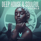 Royalty free vocal samples  house vocal stems  female acapellas  deep house female vocal leads and adlibs