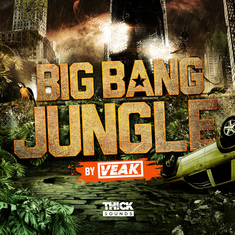 Big Bang Jungle by Veak