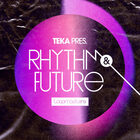 Royalty free future rnb samples  future r b vocal phrases  trap drum loops  rnb keys and bass loops   future r b synth and vocal loops at loopmasters.com