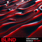 Blind audio dnb formula bundle cover artwork