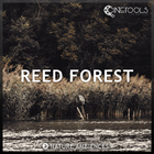 Cinetools reed forest cover artwork