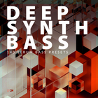 Lp24 audio deep synth bass cover artwork