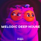 Dropgun samples melodic deep house cover artwork