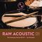 Noise design raw acoustic 01 downtempo series rawtekk cover