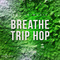 Aim audio breathe trip hop cover