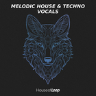 House of loop melodic house   techno vocals cover