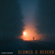 Sample Packs & Music Loops on Subscription | Loopcloud
