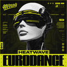 91v hed cover