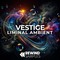 Rewind samples vestige liminal ambient 1000 loopmasters