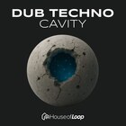 Dub techno cavity lq