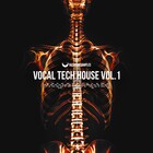 Rasster samples   vocal tech house vol.1
