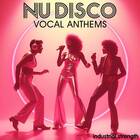 Nu disco vocal anthems 1000 loopmasters